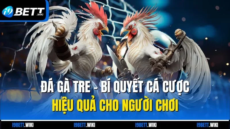 Đá gà tre